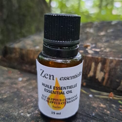 Eucalyptus citronné